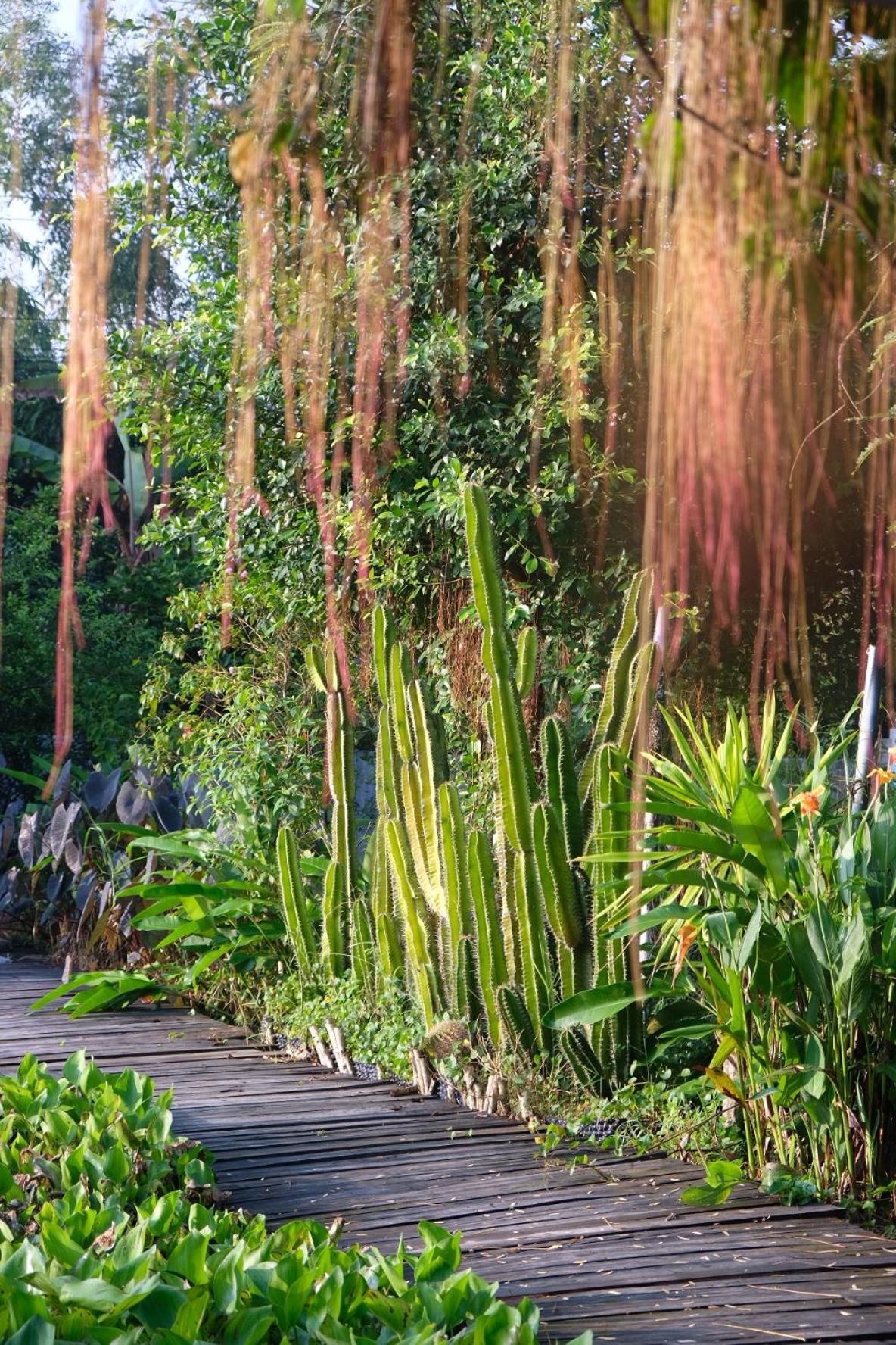 Bungalow - Farmstay Hoa Rung U Minh Cà Mau Exterior foto