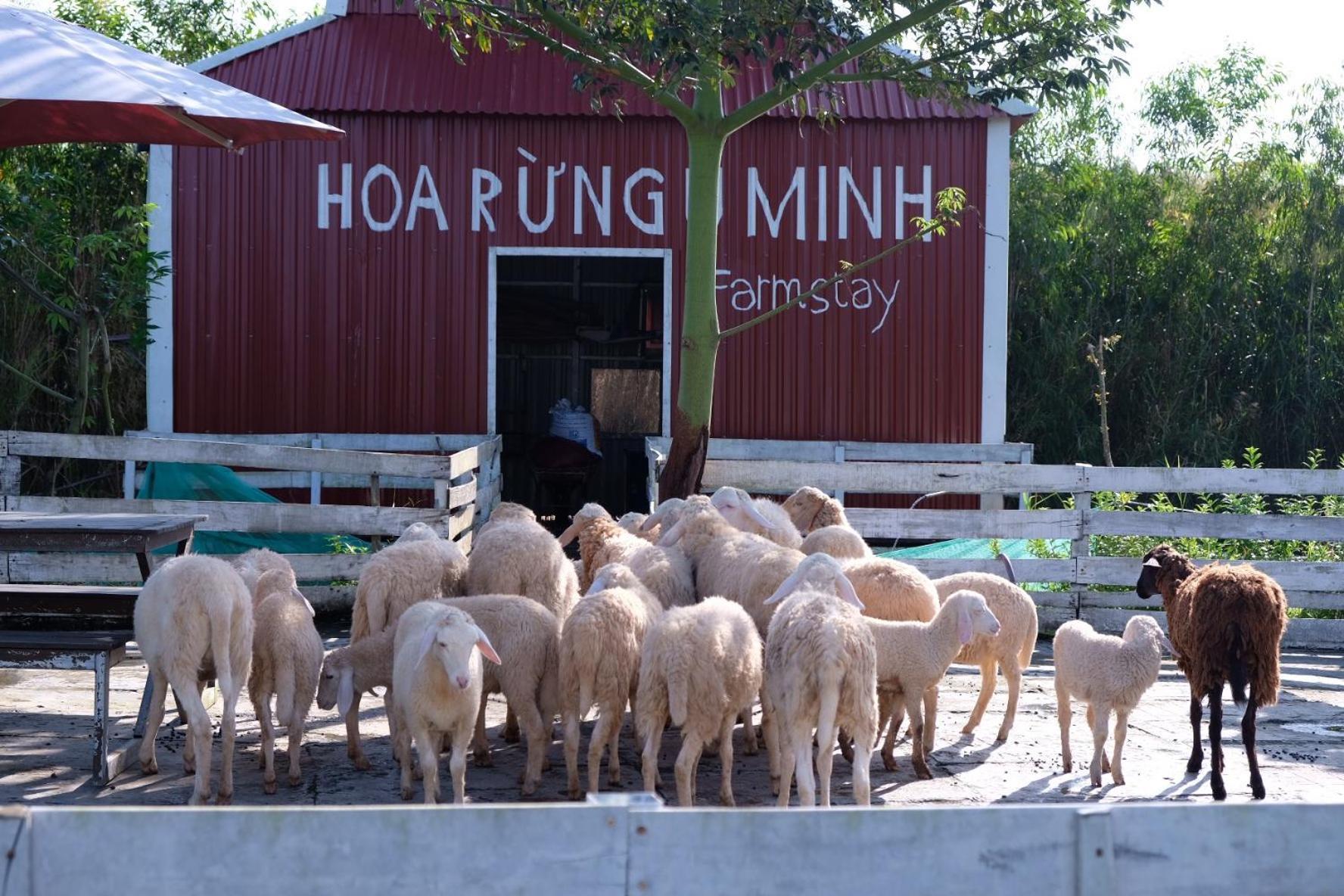 Bungalow - Farmstay Hoa Rung U Minh Cà Mau Exterior foto