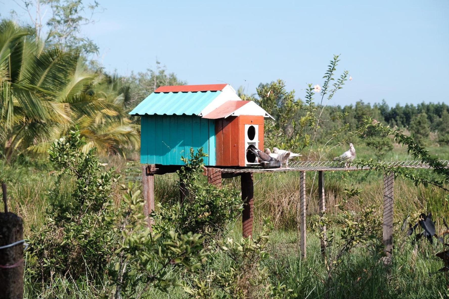 Bungalow - Farmstay Hoa Rung U Minh Cà Mau Exterior foto